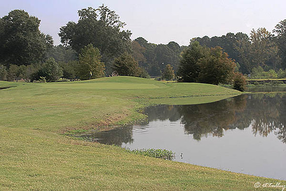 Olde Oaks Cypress #1