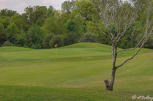 Olde Oaks Cypress #6