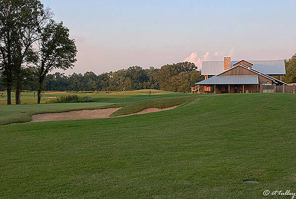 Black Bear GC #9