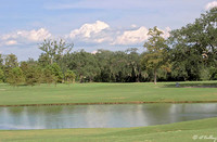 Audubon GC #2