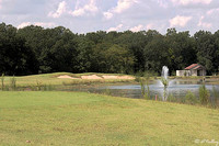 Black Bear GC #1