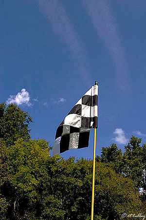 Black Bear GC Flag