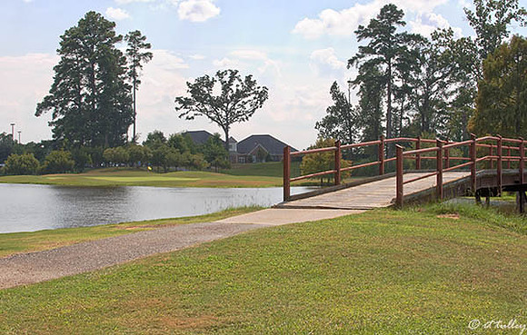 Olde Oaks Oak #9