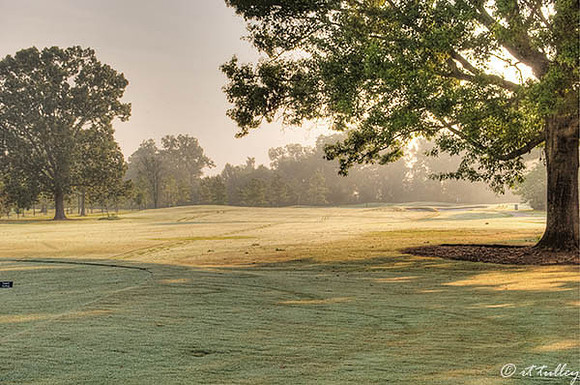 Oakwing GC #1