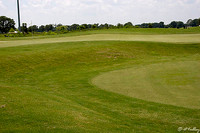 the Wetlands #1