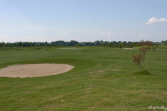 the Wetlands #14