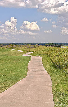 Black Bear GC Cart Path Along #6