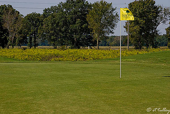 Olde Oaks Meadow #5