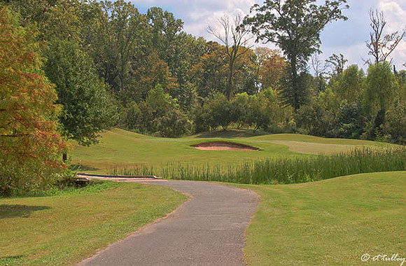 Olde Oaks Oak #1