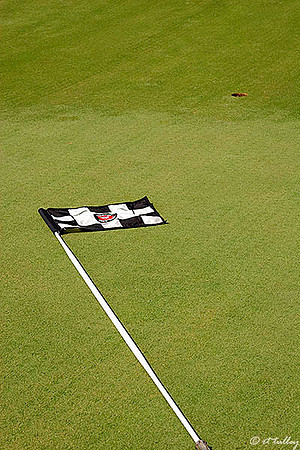 Oakwing GC Flag at #14