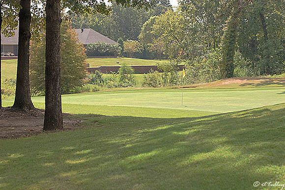 Olde Oaks Cypress #4