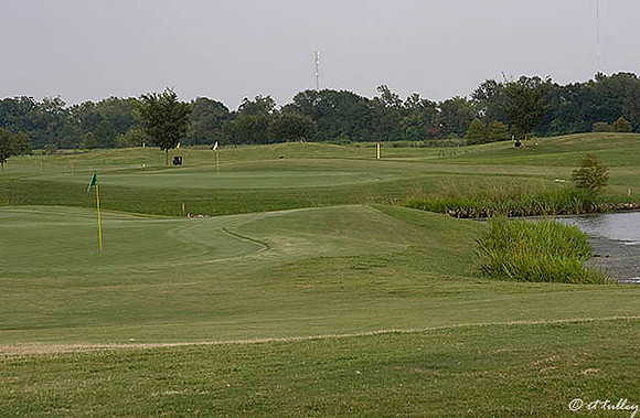 the Island #18