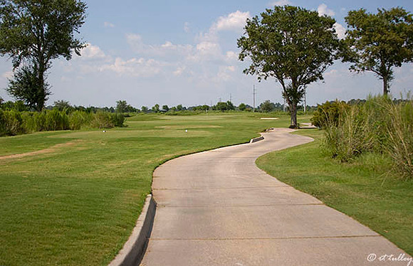 the Wetlands #8