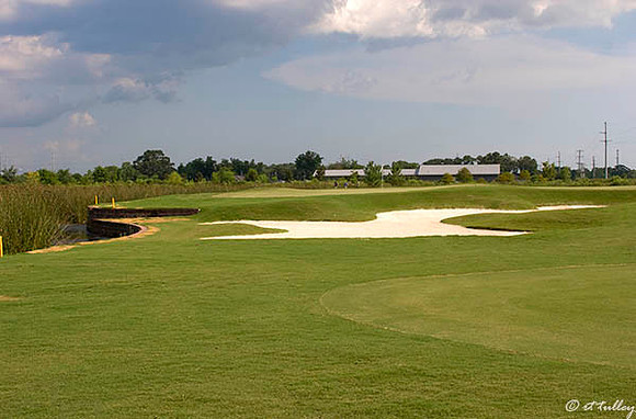 the Wetlands #16