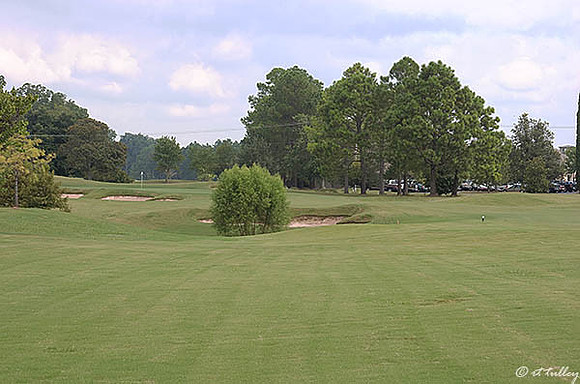 Oakwing GC #18