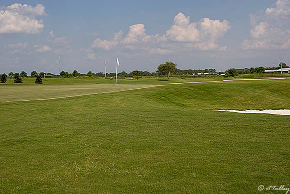 the Wetlands #14