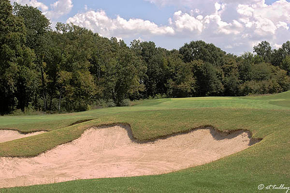 Black Bear GC #2