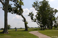 the Island #2 Tee