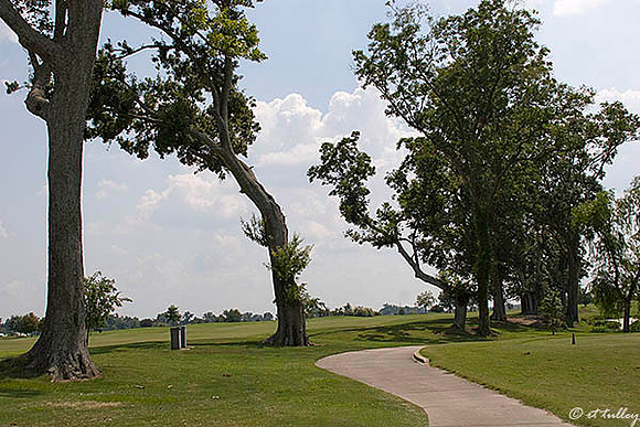 the Island #2 Tee