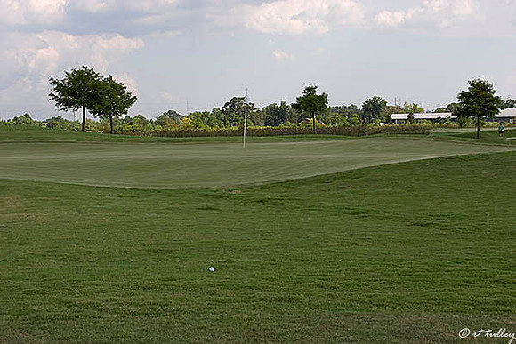 the Wetlands #15