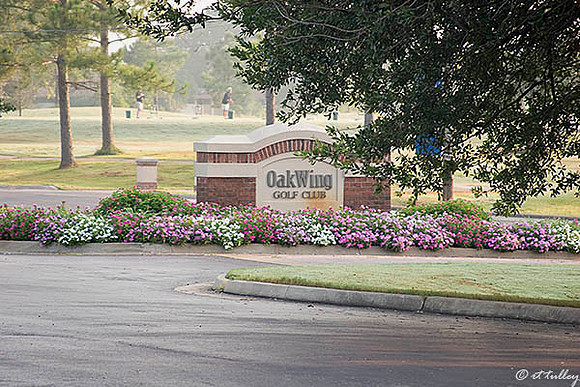 Oakwing GC Sign