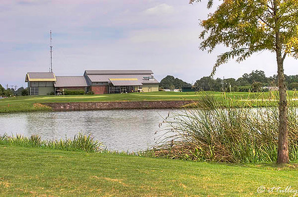 the Wetlands #18