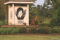 the Island Sign