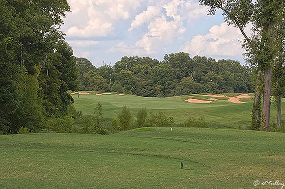 Black Bear GC #9