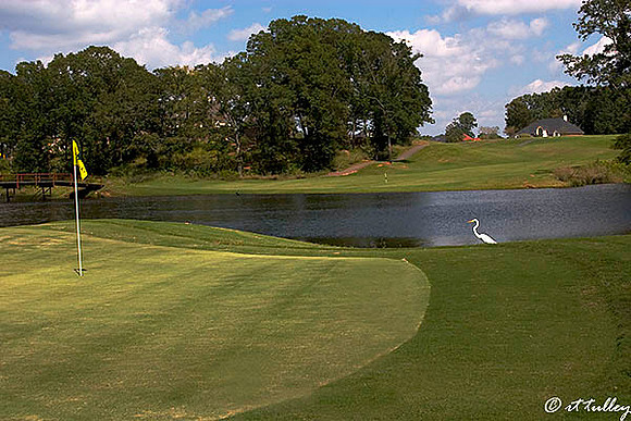 Olde Oaks Oak #9 & Egret