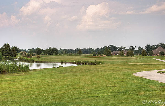 the Island #17