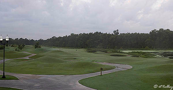 Atchafalaya #9