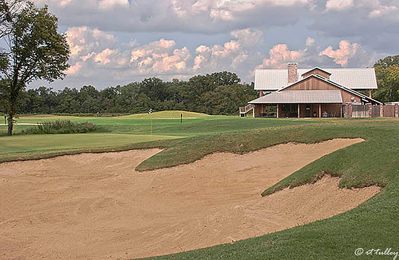 Black Bear GC #9