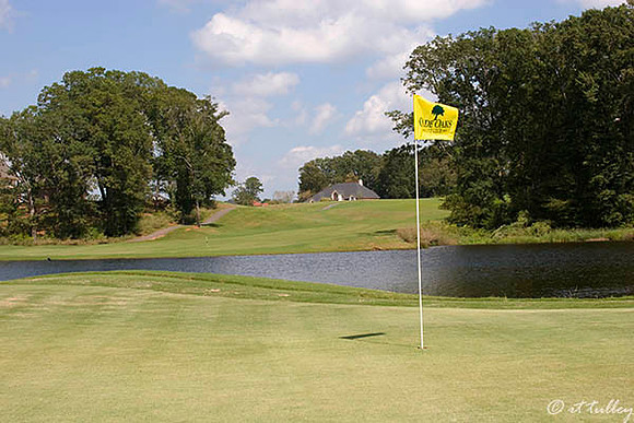 Olde Oaks Oak #9
