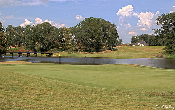 Olde Oaks Oak #9