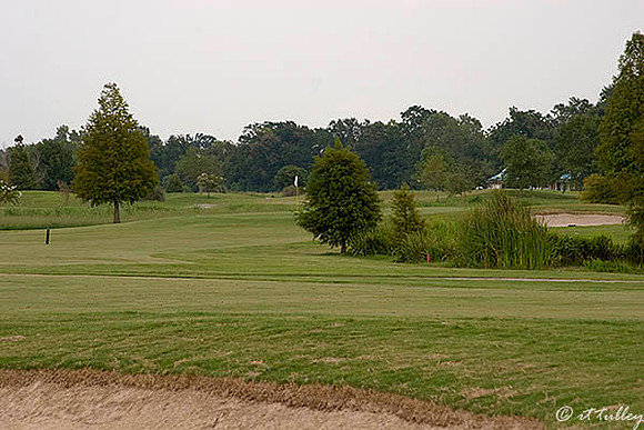the Island #17