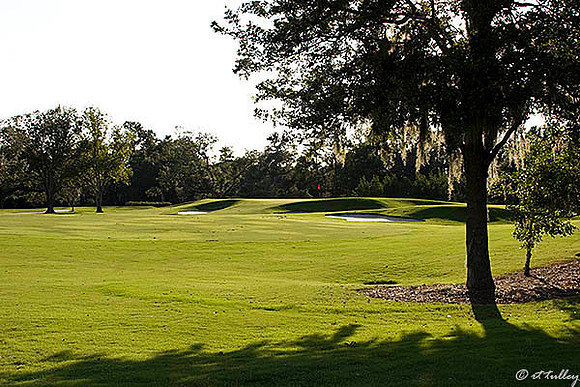 Audubon GC #12