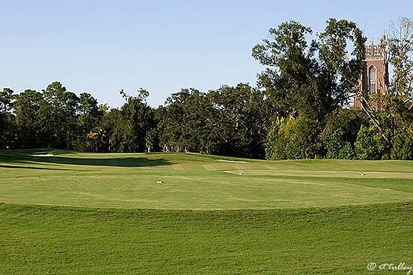 Audubon GC #11