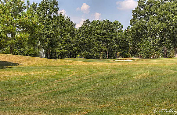 Olde Oaks Cypress #3