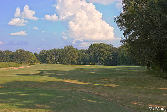 Black Bear GC #15