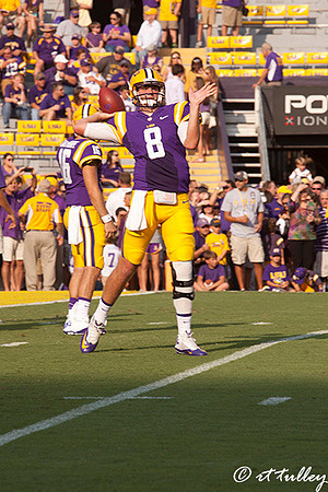 Mettenberger