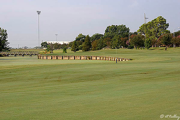 Oakwing GC #7