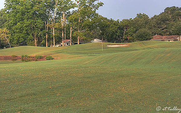 Oakwing GC #4