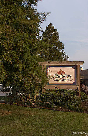 the Island Audubon Trail Sign