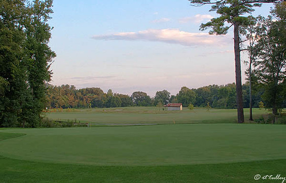 Black Bear GC #10