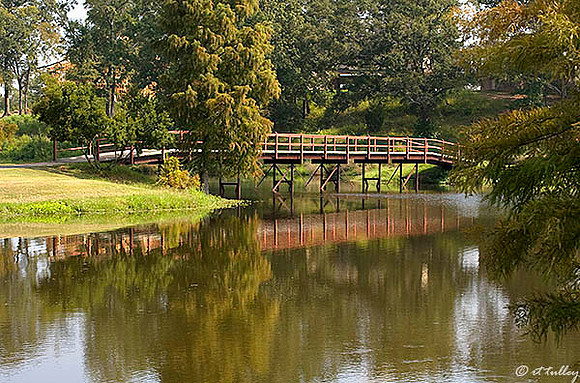 Olde Oaks Bridge at Oak #9