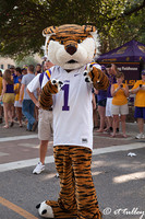 Mike the Tiger Mascot