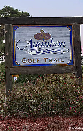 Black Bear GC Audubon Golf Trail Sign