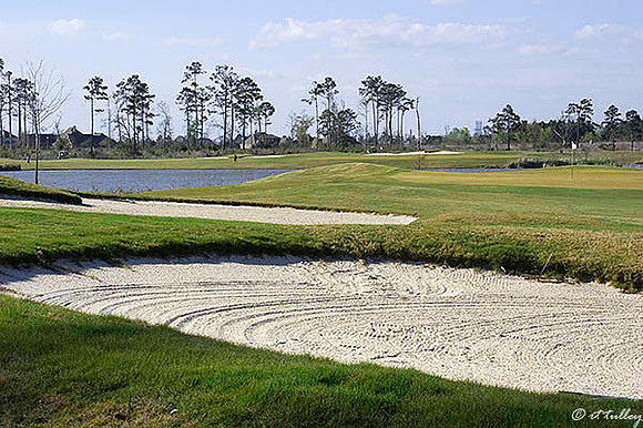 Gray Plantation #15