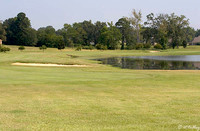 Olde Oaks Cypress #1