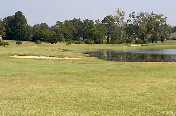 Olde Oaks Cypress #1